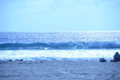 DSC_5006 (Large).JPG